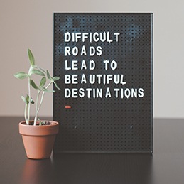 Life Coaches